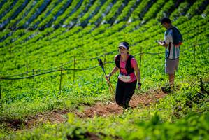 BIB: 
                            <button type="button" onclick="openModal(19162656)" class="btn btn-primary btn-sm float-right btn-popup" data-toggle="modal" data-target=".modal-high-quality">
                        <i class="fas fa-shopping-cart"></i> Add to Cart
                    </button>
                                            <button type="button" onclick="isThisMe(19162656, true)" class="btn btn-success btn-sm float-right btn-popup btn-isme hidden" data-toggle="tooltip" data-placement="bottom" title="นี่คือรูปของคุณใช่ไหม คลิกที่นี่เพื่อเอาเข้าอัลบั้ม">
                        <i class="fas fa-plus"></i> Add to album
                    </button>
                    <button type="button" onclick="isThisMe(19162656, false)" class="btn btn-warning btn-sm float-right btn-popup btn-isnotme hidden">
                        <i class="fas fa-ban"></i> Remove from album
                    </button>